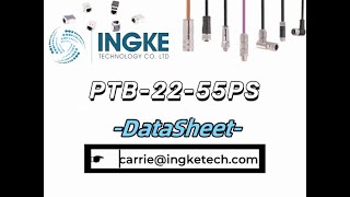 PTB2255PS DataSheet  ingketechnet [upl. by Ahsinor]