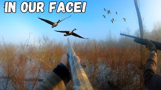 Duck Hunting A Flooded Swamp With GEESE IN OUR FACE  Duck Hunting 2024 [upl. by Liagabba]