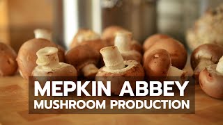 Mepkin Abbey Mushroom Production [upl. by Anselmi399]