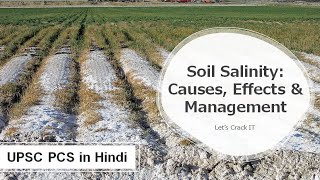 What is Soil Salinization Causes Impact Management Prevention of Saline soil  UPSC PCS in Hindi [upl. by Glaser]