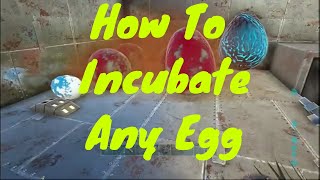 Ark How To Incubate Any Egg  Update 2019 [upl. by Post951]