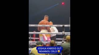 Anthony Joshua Knocks out Francis Ngannnou 😳 mma anthonyjoshua fury boxing viral [upl. by Aitnauq654]