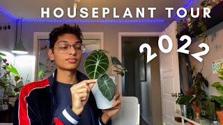 Houseplant Tour 2022  100 Plant Collection [upl. by Jona456]