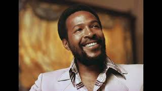 Marvin Gaye  I Want You Acapella [upl. by Htebsil]