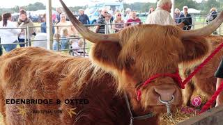 Edenbridge amp Oxted Show 2021  Kent UK Agricultural Show  Farming Event Festival  South England [upl. by Kidder596]