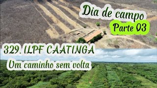 329 ILPF CAATINGA  Um caminho sem volta Parte 03 [upl. by Yelrak]