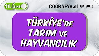 Türkiyede Tarım ve Hayvancılık  Akıcı Konu Anlatımı  11 Sınıf Coğrafya 2023 [upl. by Ainola]