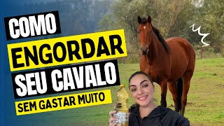 COMO ENGORDAR SEU CAVALO RÁPIDO E SEM GASTAR MUITO [upl. by Klemens806]