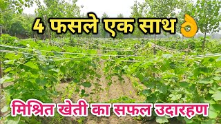 जानिए क्या है मल्टीलेयर मिश्रित खेतीamazing MultiLayer mixed organic farming Technique [upl. by Sirej]