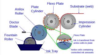 Flexography  Basic Introduction [upl. by Hakym]