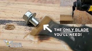 The ONLY Oscillating Tool Blade Youll Ever Need How to Find the Best Oscillating Tool Blades [upl. by Binetta]