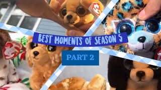 Best Of Beanie Boo Survivor Reloaded So Far PART 2 [upl. by Geesey20]