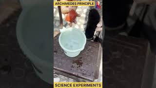 archimedes principle  science experiments experiment science shorts [upl. by Eixirt874]