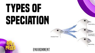 Types of speciation  Allopatric sympatric Parapatric Peripatric in Tamil II UPSC II TNPSC II [upl. by Mad]