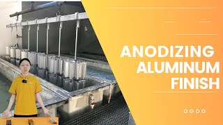 Anodizing Aluminum wellste [upl. by Kirstyn]