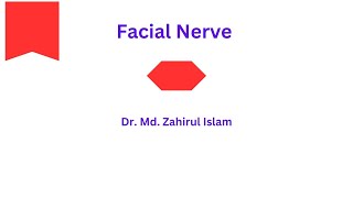 facial nerve [upl. by Licht]