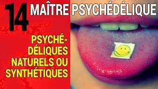 Maître Psychédélique 14  Psychédéliques naturels ou synthétiques 44 [upl. by Ahsakat]