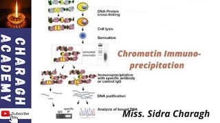 In Vivo Transcription Factor Recruitment Analysis by Chromatin Immunoprecipitation ChIP✍✍ [upl. by Aretha]