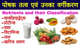 पोषक तत्व क्या है  पोषक पदार्थ का वर्गीकरण  poshak tatva  proteins vitamins fats minerals [upl. by Anagrom]