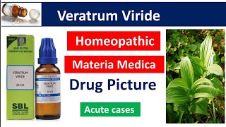 Veratrum Viride Homeopathic Medicine  Drug Picture  Materia Medica bhms [upl. by Ellehsar]