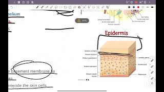 introduction to dermatology  History taking amp physical exam [upl. by Inaja]