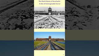 Auschwitz A Site of Unimaginable Horror auschwitz worldwar 2 warzone [upl. by Eidnas]