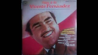 Vicente Fernández  Cantando [upl. by Nylsor]