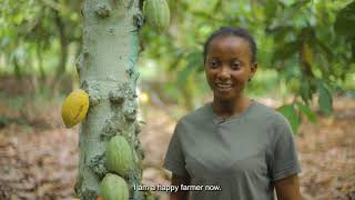 Is cocoa agroforestry an option for farmers in Ghana [upl. by Sheeb208]