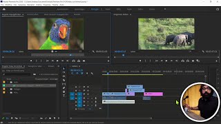 Adobe PREMIERE PRO corso gratis per MONTARE VIDEO [upl. by Aloisia]