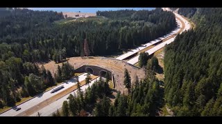 I90 Snoqualmie Pass East Critter Crossings in the Cascades [upl. by Cynera]