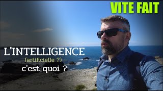 Lintelligence artificielle en question Vite Fait [upl. by Zimmer875]