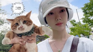 귀여운 고양이 키우는 집순이 vlog  고양이 사료 기호성 테스트  수제 함박 스테이크 만들기  공차 추천 메뉴  생각의 배신 [upl. by Nickola]