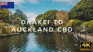 Coastal landscapes of Auckland  Orakei to Auckland CBD  New Zealand [upl. by Adnaugal222]