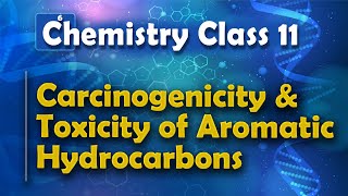 Carcinogenicity and Toxicity of Aromatic Hydrocarbons  Aromatic Compounds  Chemistry Class 11 [upl. by Gnud]