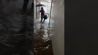 School flooded in Yauco Puerto Rico puertorico yauco ricanreactions rican [upl. by Algar5]