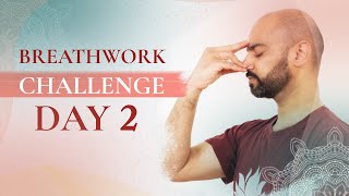 Day 2  Breathwork for Mental Clarity  Transformational Breathwork Challenge [upl. by Acsisnarf]