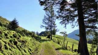 Enzianhütte und Seewaldsee [upl. by Zandra]