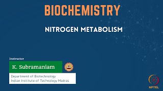 Nitrogen Metabolism [upl. by Sitnerp]