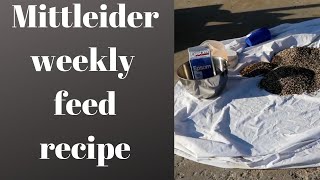 Mittlieder weekly feed recipe EASY mixing instructions [upl. by Dnalerb]