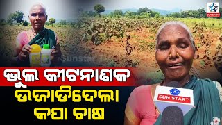 A woman farmer died after spraying the wrong pesticide [upl. by Pernick]