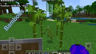 I explore my world to obtain bamboo  playing Minecraft on my survival world part 16 [upl. by Neona244]