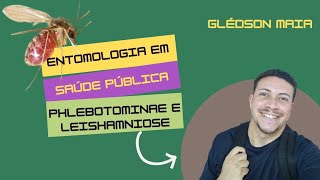 Entomologia em Saúde Pública  Phlebotominae e Leishmaniose [upl. by Areik687]