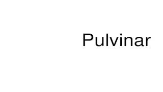 How to pronounce Pulvinar [upl. by Herwig]