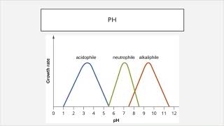 BIO 205  Chapter 9  Microbial Growth [upl. by Antoinette]