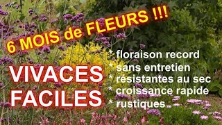 VIVACES FACILES à TRES LONGUE FLORAISON  5 super plantes [upl. by Naloj]