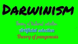 Darwinism  Theories of evolution Theory of pangenesis Artificial selection Natural selection [upl. by Damal]