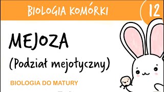 Cytologia 12  Mejoza podział mejotyczny  biologia rozszerzona przygotowanie do matury z biologii [upl. by Wittenburg]