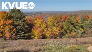 Fall foliage peaking in New York [upl. by Gaelan]