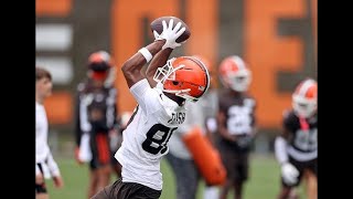 Browns Players Poised to Have a Big Season With the Team  Sports4CLE 82224 [upl. by Dogs]