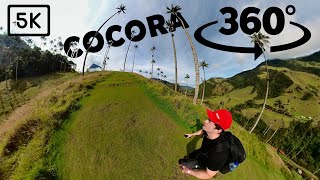 Cocora Valley Colombia in Virtual Reality  360° Video [upl. by Mesics]